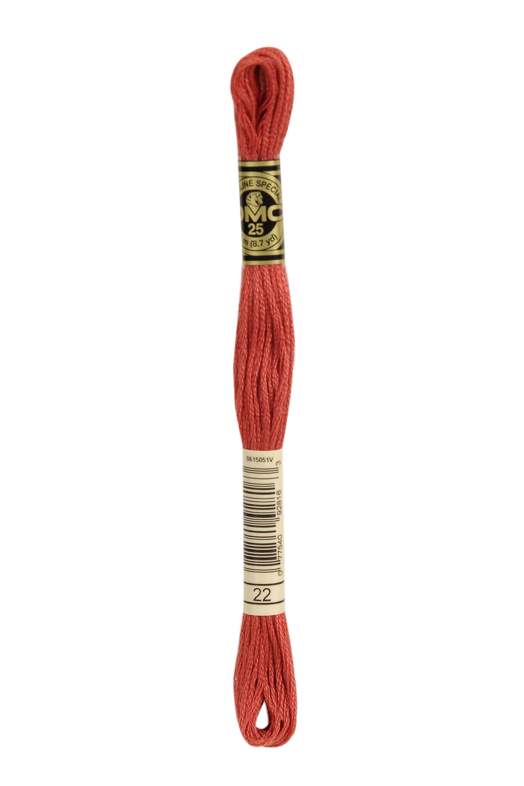 22 DMC Stranded Cotton