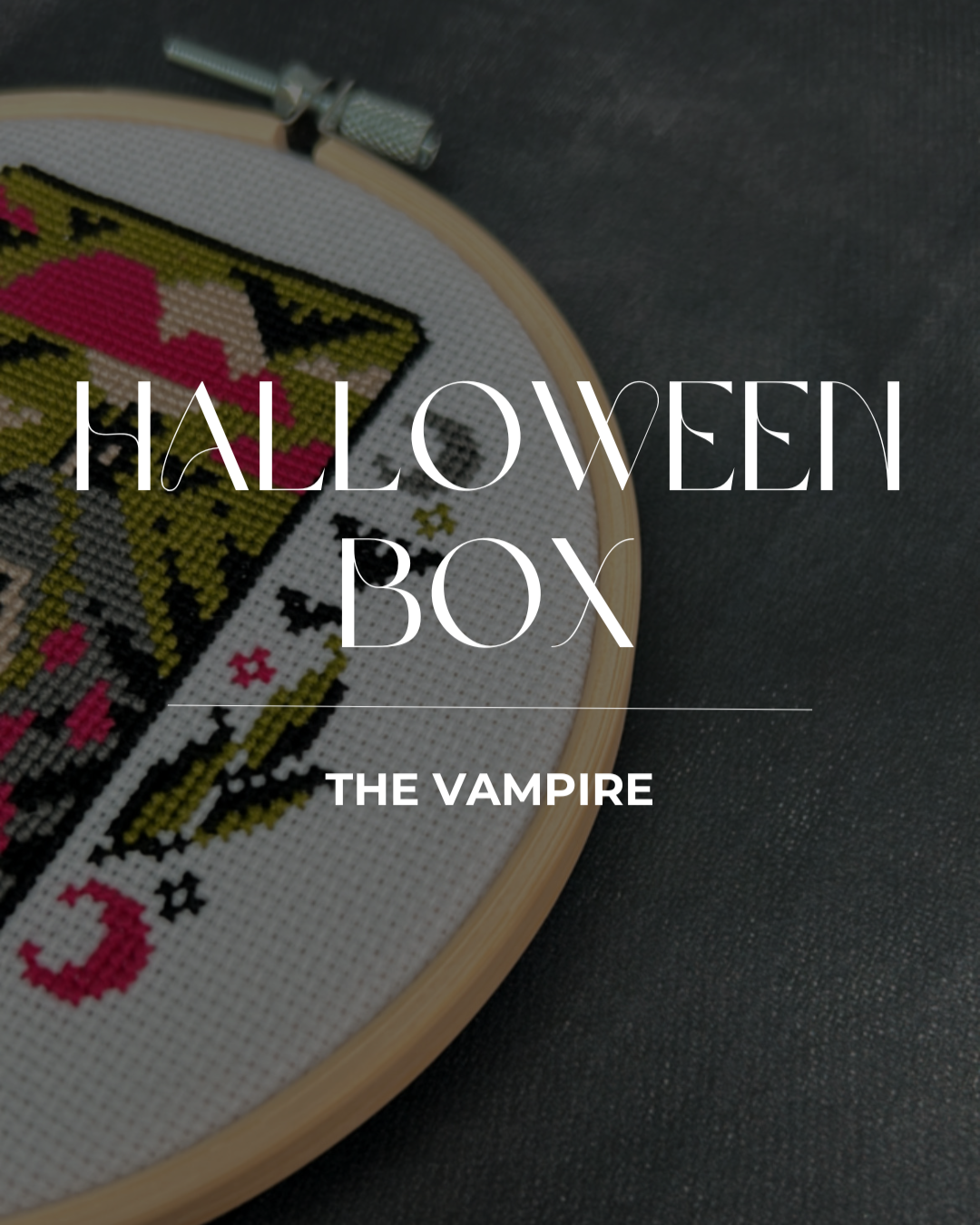 Embroidery hoop with cross-stitch design on a dark background, featuring text 'HALLOWEEN BOX' and 'THE VAMPIRE'.