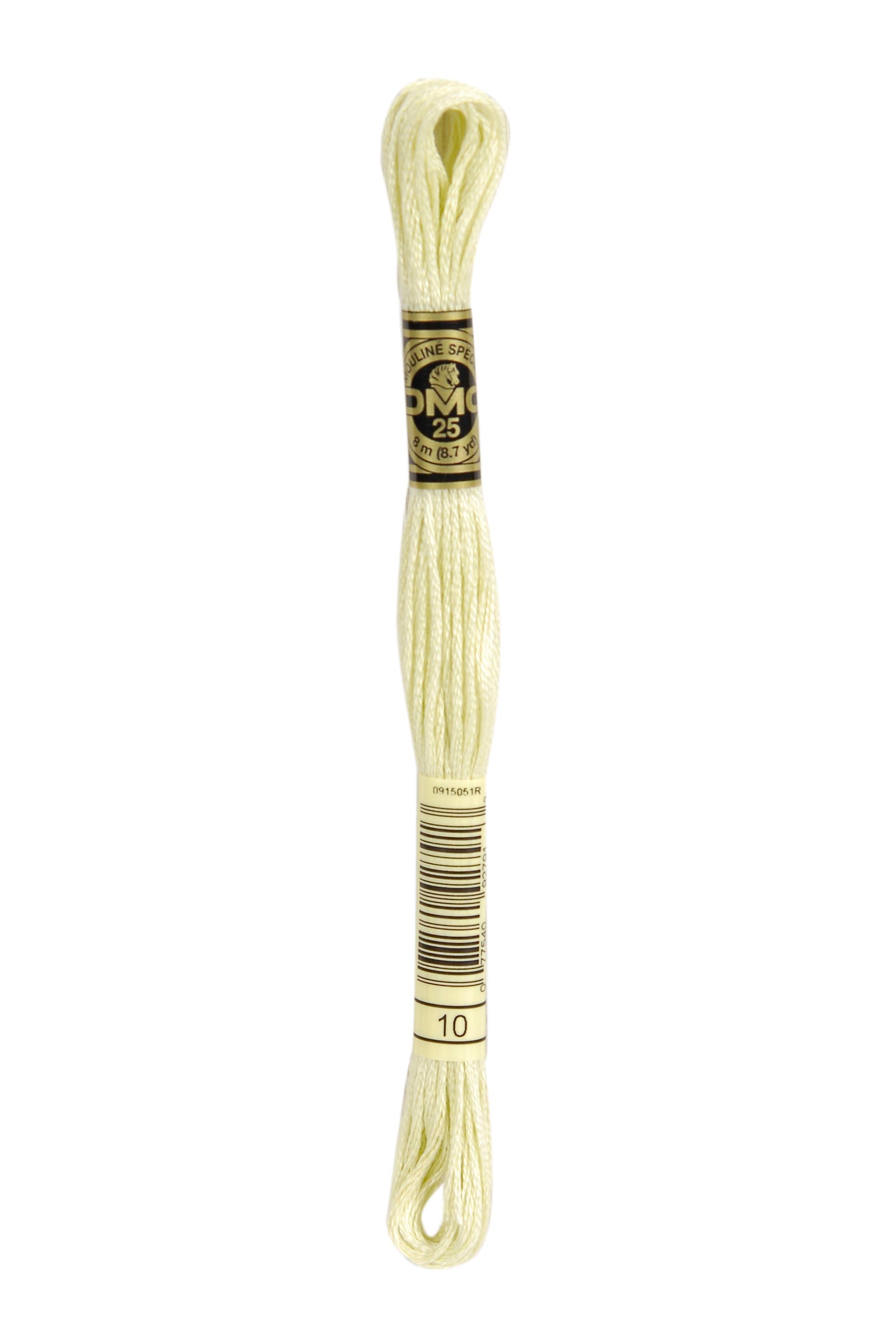 DMC Stranded Cotton embroidery thread in a skein