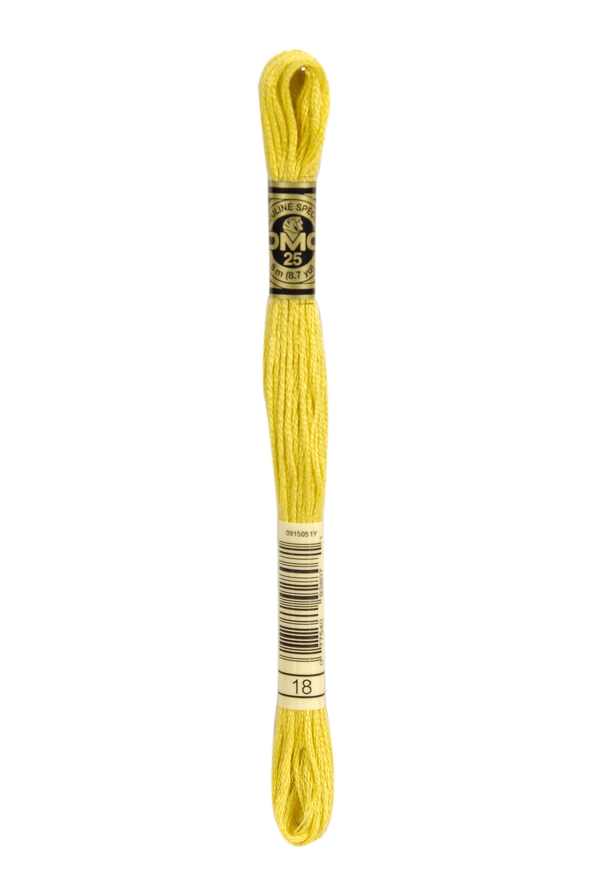 DMC Stranded Cotton embroidery thread in a skein
