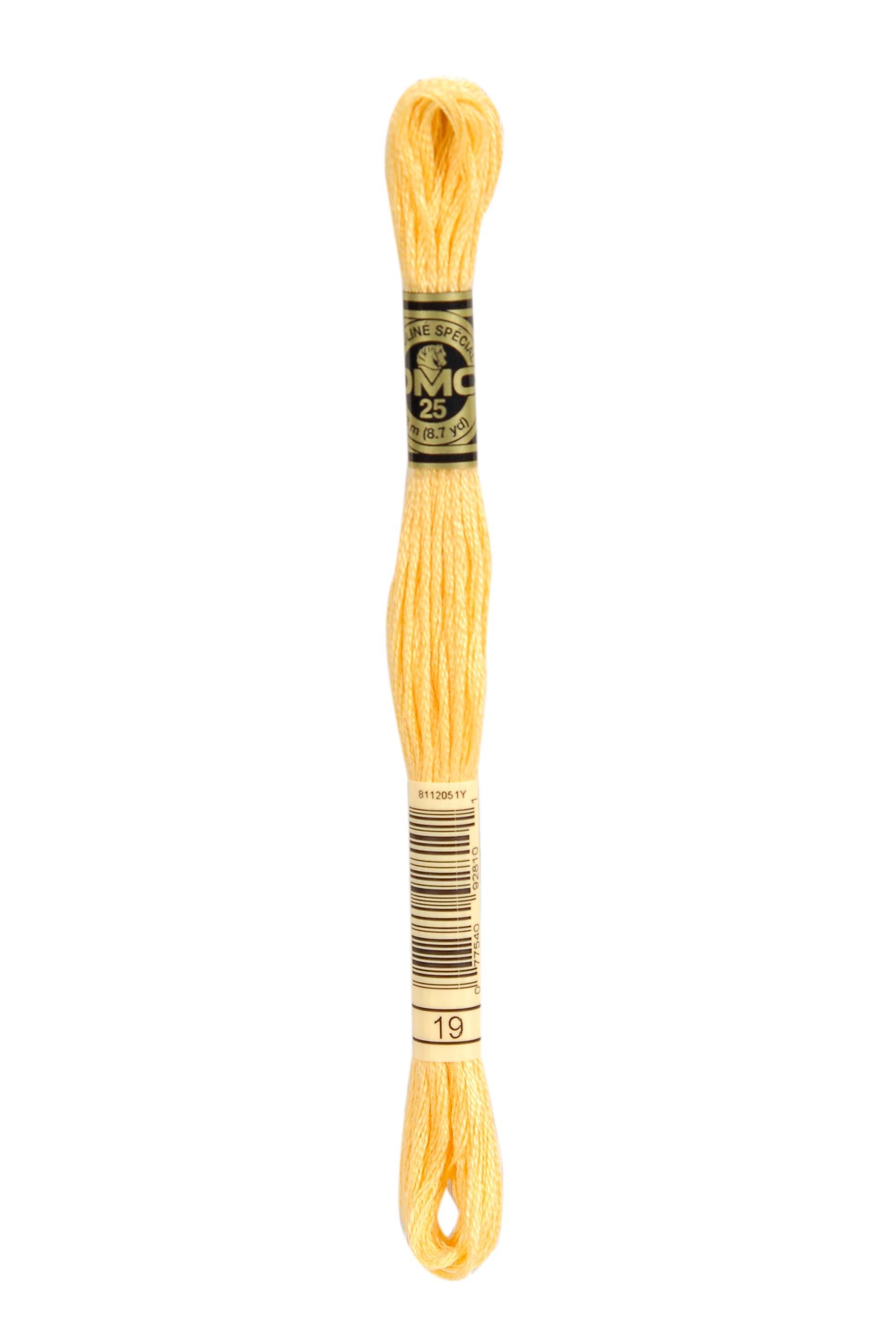 DMC Stranded Cotton embroidery thread in a skein
