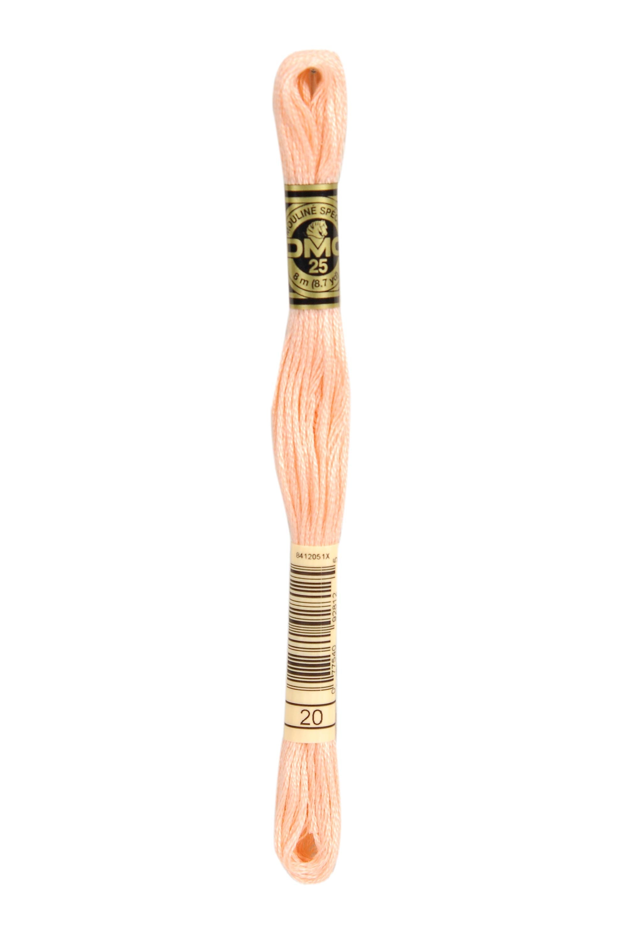 DMC Stranded Cotton embroidery thread in a skein